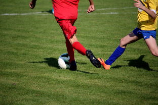 星空体育官方入口-国家女篮训练日程公开每日训练内容紧张高效，国家队女篮在哪里训练